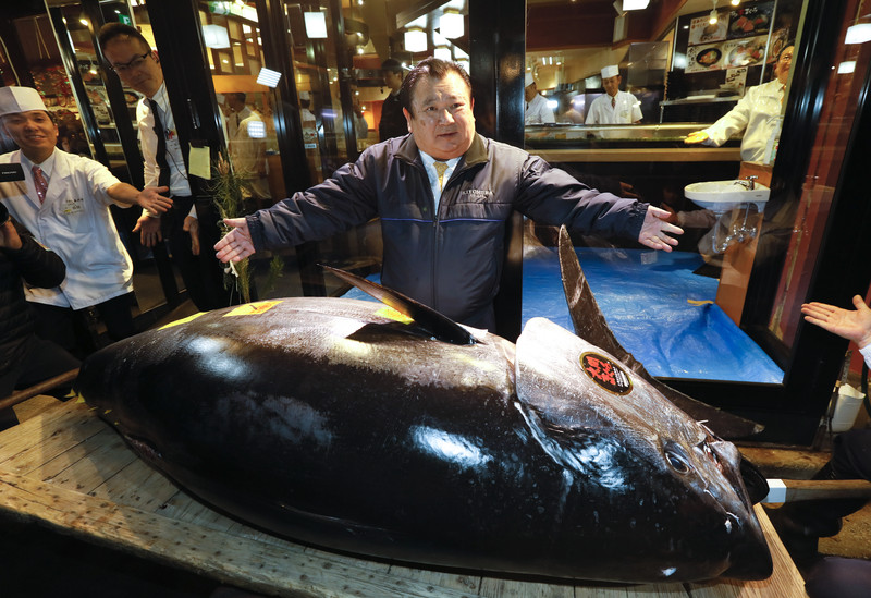 За сколько продали самого дорогого тунца в мире | Ложка-Поварёшка все о  пользе и вреде еды и способах ее правильного приготовления
