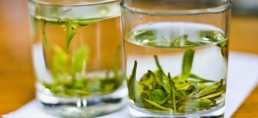 Почему стоит пить зеленый чай